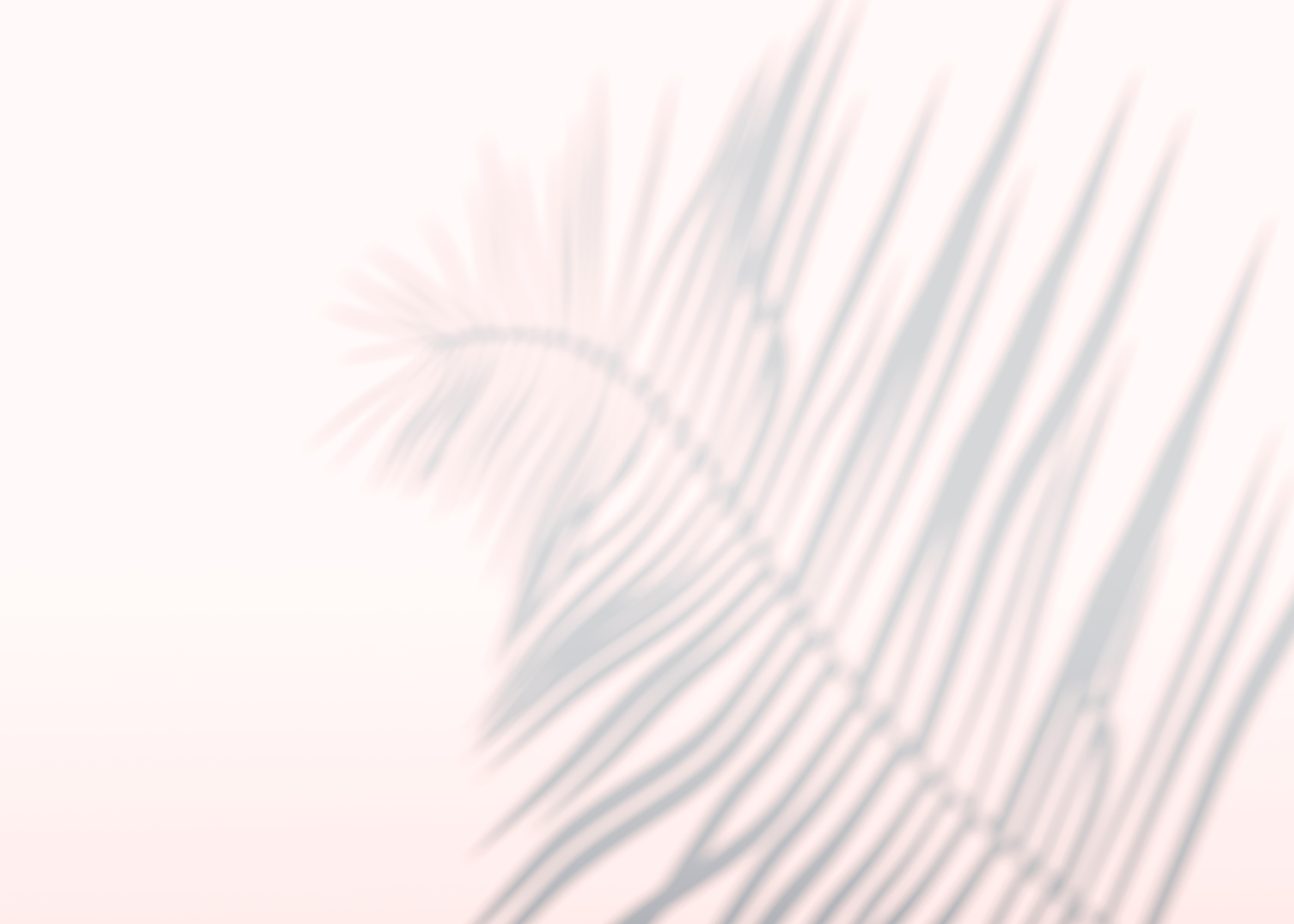 Abstract Background of Shadows Palm Leaves on a Wall. 3D Rendering.