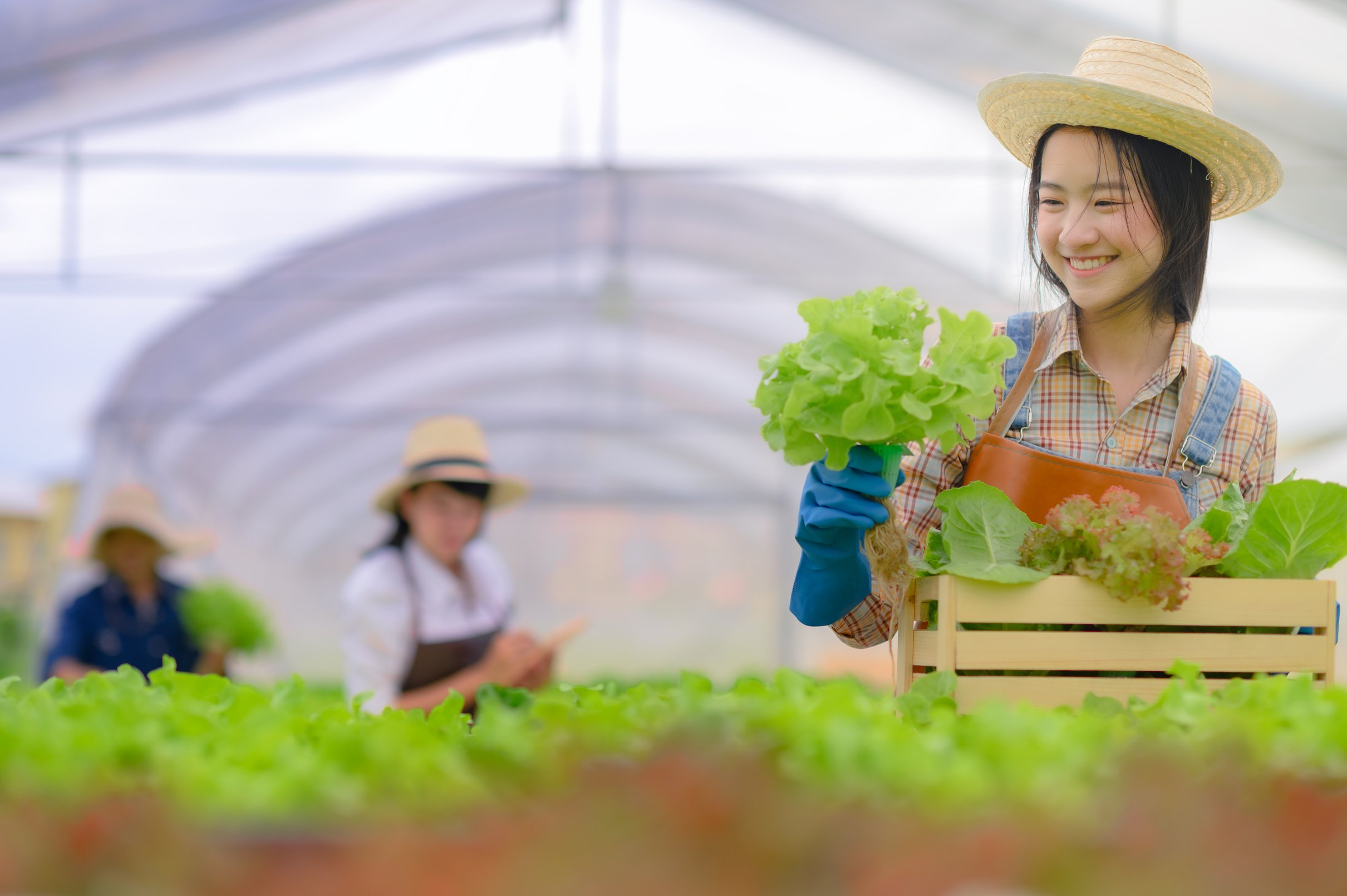 Farming